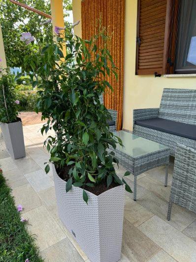 Agriturismo Il Portico Capalbio Exterior photo